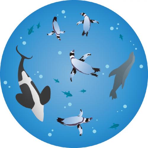 Freedom Camp Ocean Ceiling Graphic