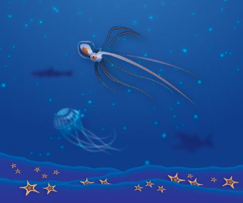 Kids Club, Deep Sea