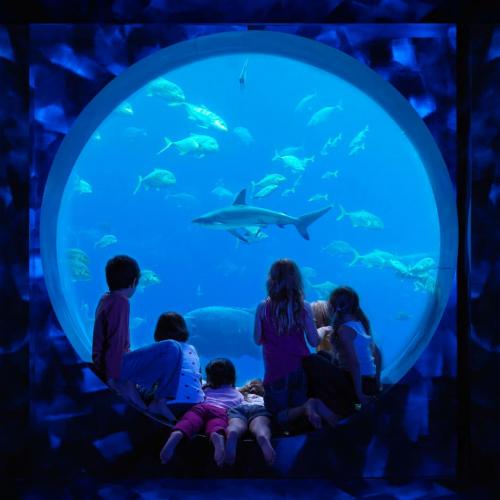 Atlantis Kids Club Dubai